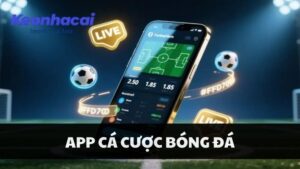 App Cá Cược Bóng Đá Uy Tín Nhất Việt Nam 2026